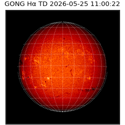 gong - 2026-05-25T11:00:22