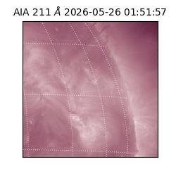 saia - 2026-05-26T01:51:57.624000