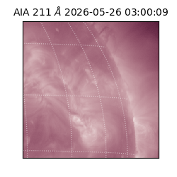 saia - 2026-05-26T03:00:09.623000