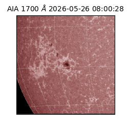 saia - 2026-05-26T08:00:28.716000