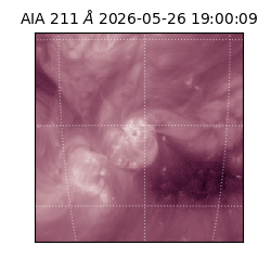 saia - 2026-05-26T19:00:09.624000