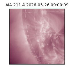 saia - 2026-05-26T09:00:09.623000