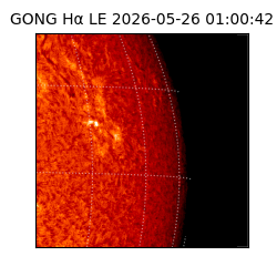 gong - 2026-05-26T01:00:42