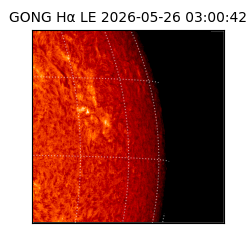gong - 2026-05-26T03:00:42