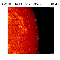 gong - 2026-05-26T05:00:42
