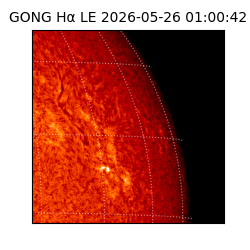 gong - 2026-05-26T01:00:42