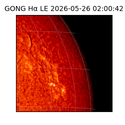 gong - 2026-05-26T02:00:42