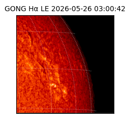 gong - 2026-05-26T03:00:42