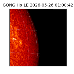 gong - 2026-05-26T01:00:42