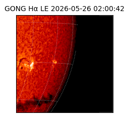 gong - 2026-05-26T02:00:42