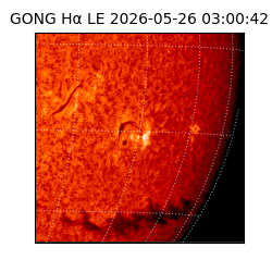 gong - 2026-05-26T03:00:42