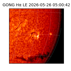 gong - 2026-05-26T05:00:42