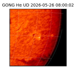 gong - 2026-05-26T08:00:02