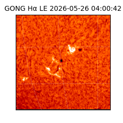 gong - 2026-05-26T04:00:42