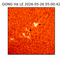 gong - 2026-05-26T05:00:42