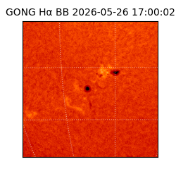 gong - 2026-05-26T17:00:02