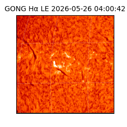 gong - 2026-05-26T04:00:42
