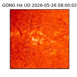 gong - 2026-05-26T08:00:02