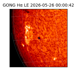 gong - 2026-05-26T00:00:42