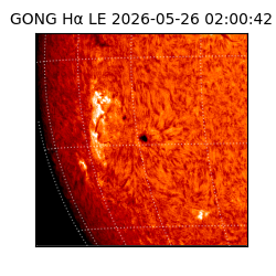 gong - 2026-05-26T02:00:42