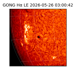 gong - 2026-05-26T03:00:42