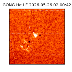 gong - 2026-05-26T02:00:42