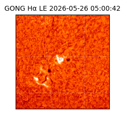 gong - 2026-05-26T05:00:42