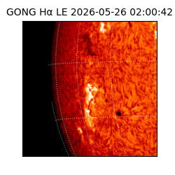 gong - 2026-05-26T02:00:42