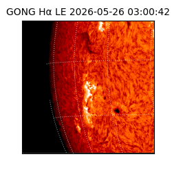 gong - 2026-05-26T03:00:42