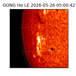 gong - 2026-05-26T05:00:42