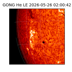 gong - 2026-05-26T02:00:42