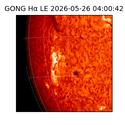 gong - 2026-05-26T04:00:42