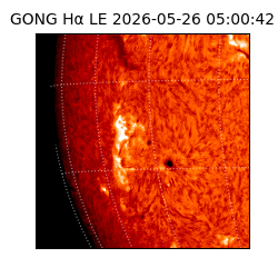 gong - 2026-05-26T05:00:42