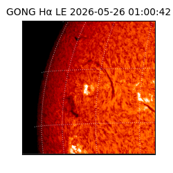 gong - 2026-05-26T01:00:42