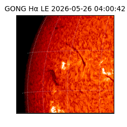 gong - 2026-05-26T04:00:42