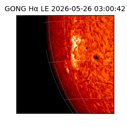 gong - 2026-05-26T03:00:42