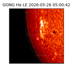 gong - 2026-05-26T05:00:42