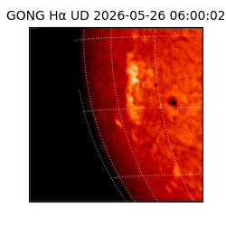 gong - 2026-05-26T06:00:02