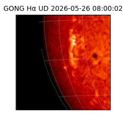gong - 2026-05-26T08:00:02