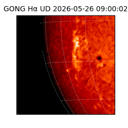 gong - 2026-05-26T09:00:02