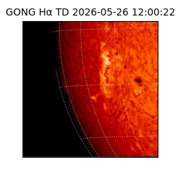 gong - 2026-05-26T12:00:22