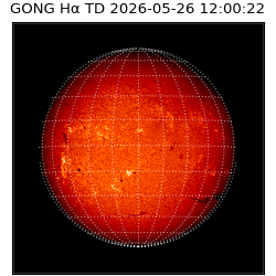gong - 2026-05-26T12:00:22