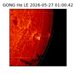gong - 2026-05-27T01:00:42