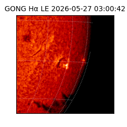 gong - 2026-05-27T03:00:42