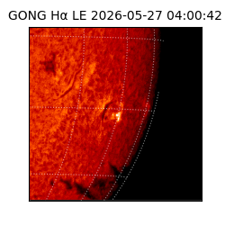 gong - 2026-05-27T04:00:42