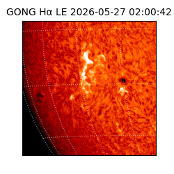 gong - 2026-05-27T02:00:42