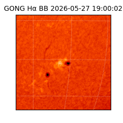 gong - 2026-05-27T19:00:02
