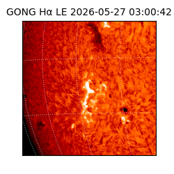 gong - 2026-05-27T03:00:42