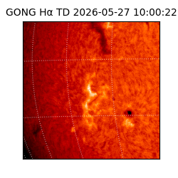 gong - 2026-05-27T10:00:22