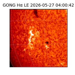 gong - 2026-05-27T04:00:42